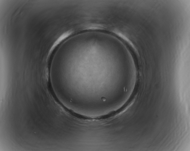 X0000085301317200703091423