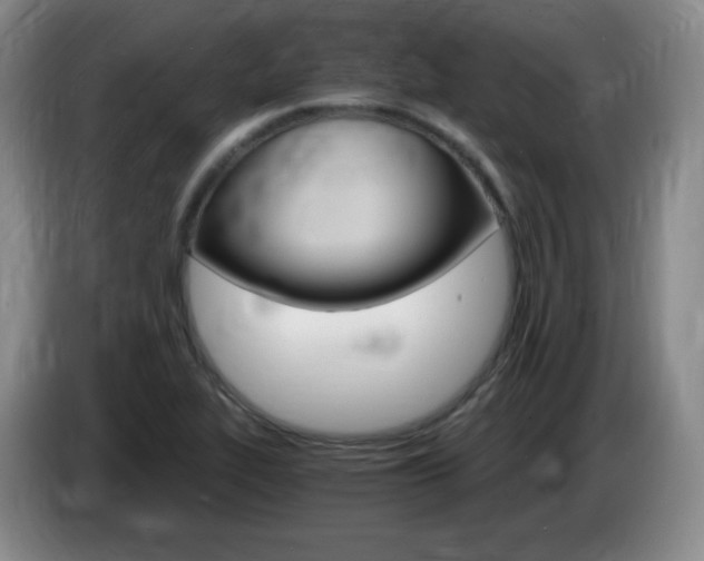 X0000085301319200703091423