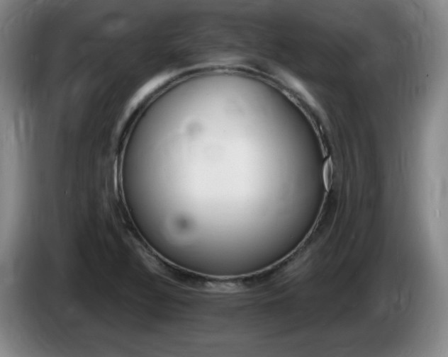 X0000085301320200703091423