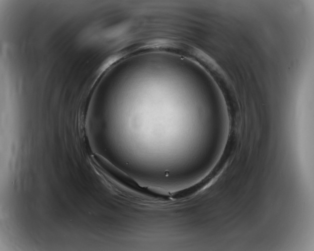 X0000085301321200703091423