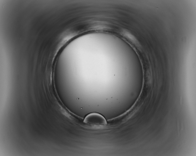 X0000085301322200703091423