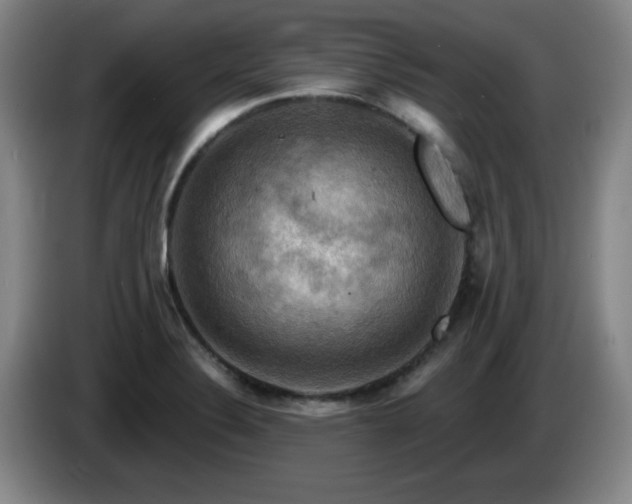 X0000085301324200703091423