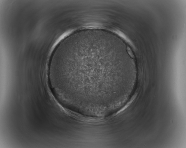 X0000085301325200703091423