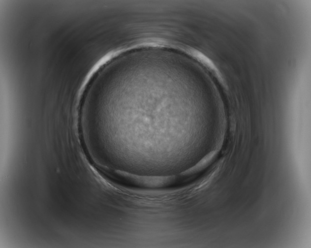 X0000085301326200703091423