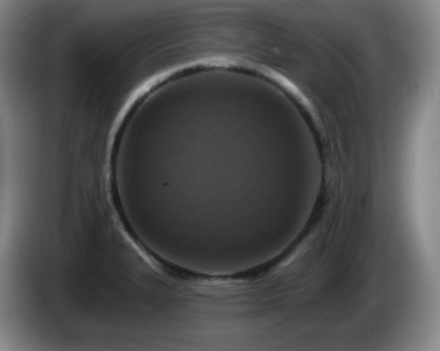 X0000085301327200703091423