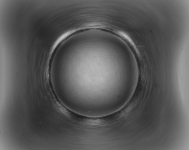 X0000085301328200703091423