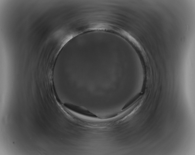 X0000085301329200703091423