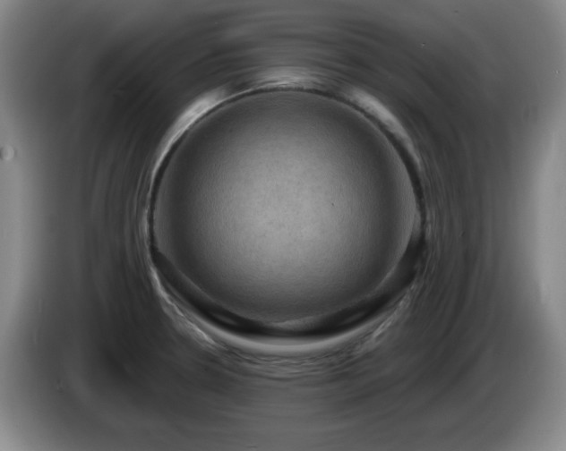 X0000085301330200703091423