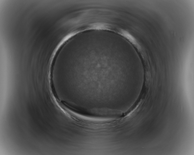 X0000085301331200703091423