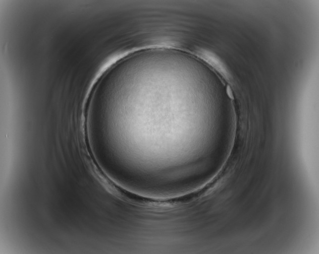 X0000085301332200703091423