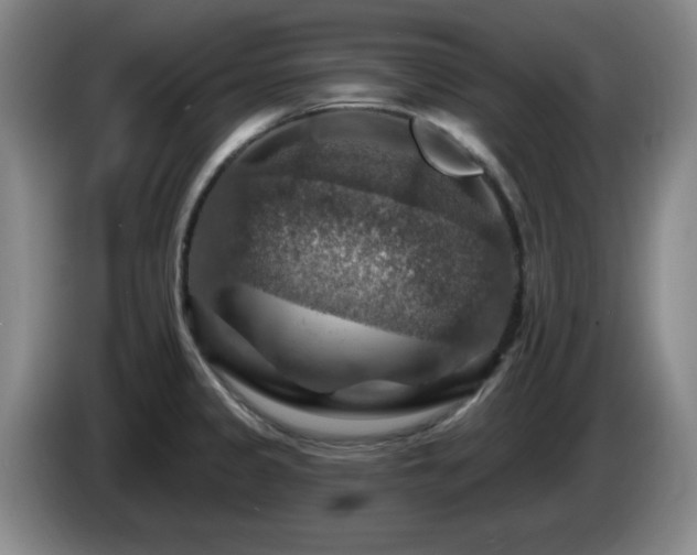 X0000085301333200703091423