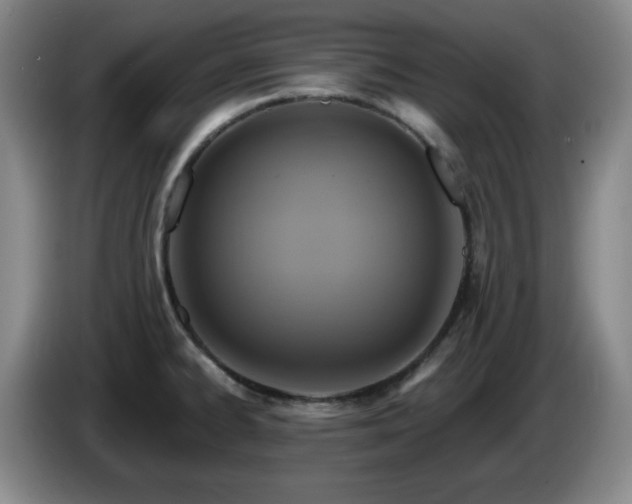 X0000085301334200703091423