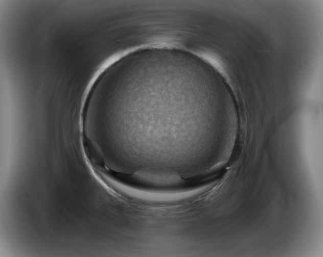 X0000085301335200703091423