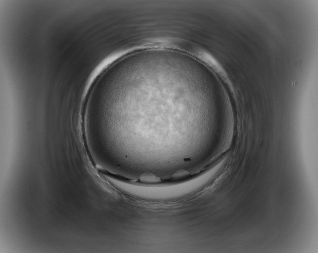 X0000085301336200703091423