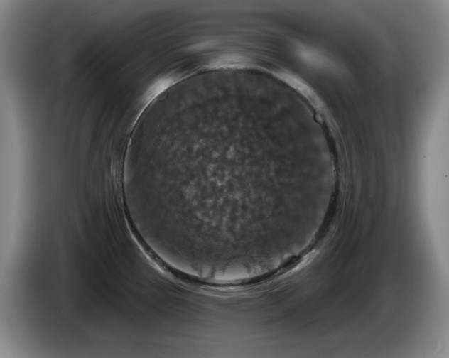 X0000085301337200703091423