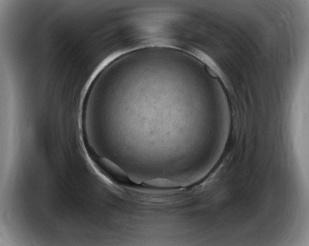 X0000085301339200703091423