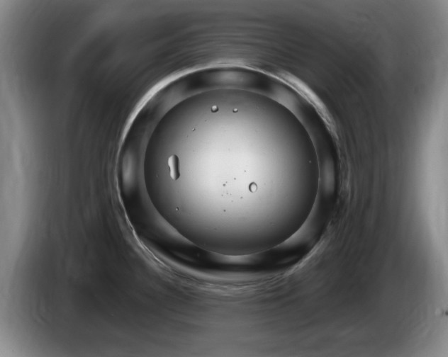 X0000085301340200703091423