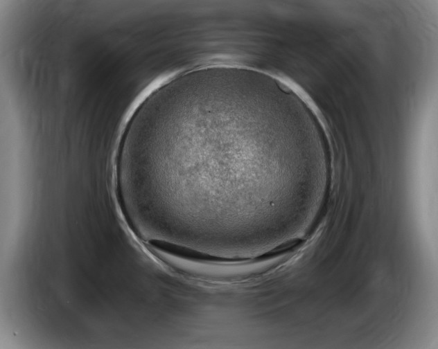 X0000085301341200703091423