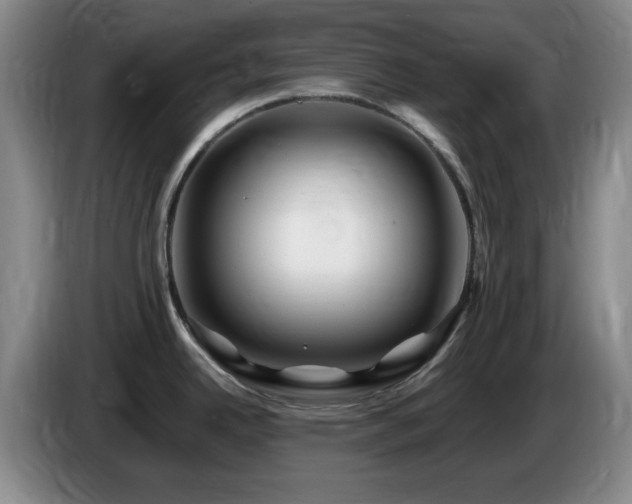 X0000085301342200703091423