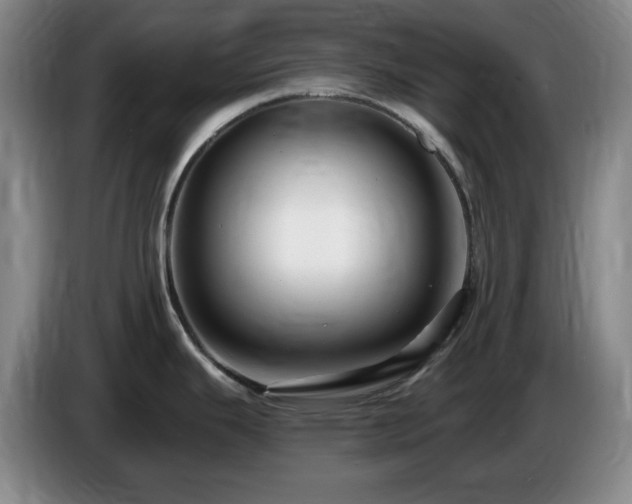 X0000085301343200703091423