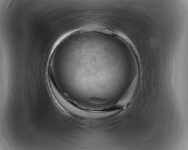 X0000085301344200703091424