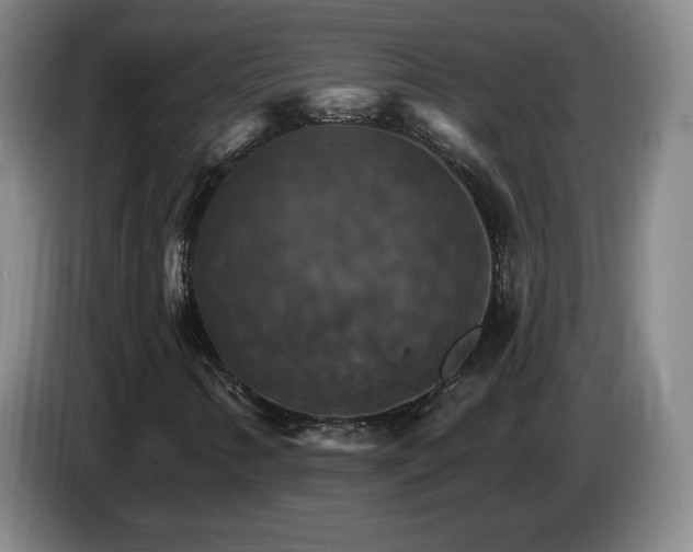 X0000085301346200703091423