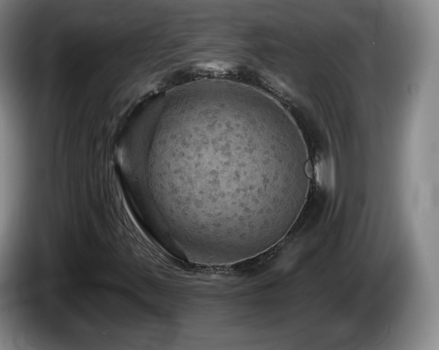 X0000085301347200703091423