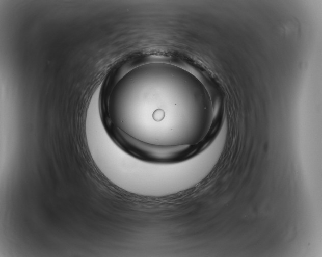 X0000085301348200703091423