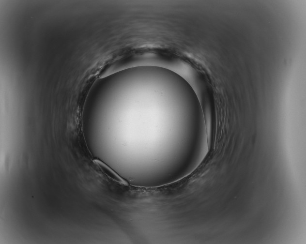 X0000085301349200703091423