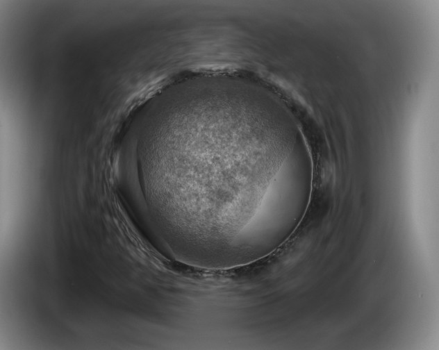 X0000085301350200703091423