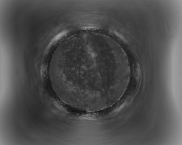 X0000085301351200703091423