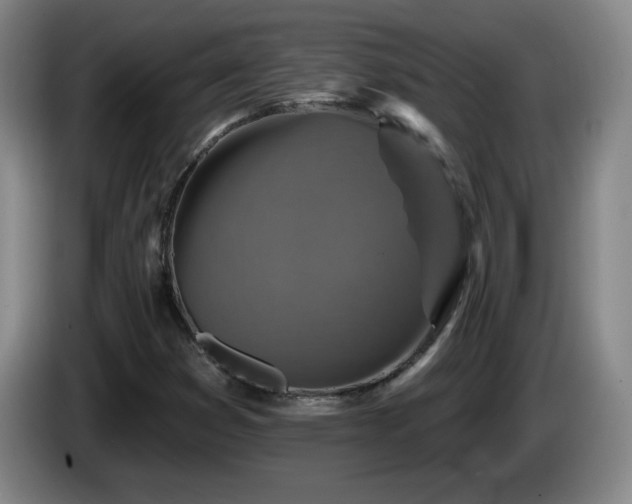 X0000085301353200703091423