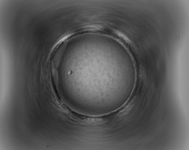 X0000085301354200703091423