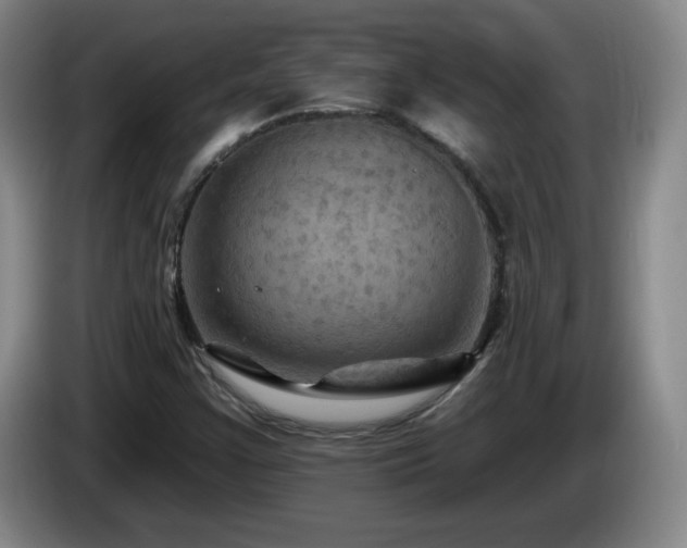 X0000085301355200703091423