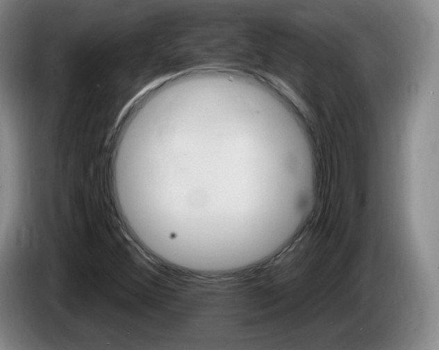 X0000085301356200703091423