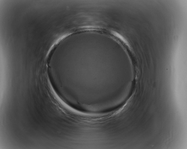 X0000085301357200703091423