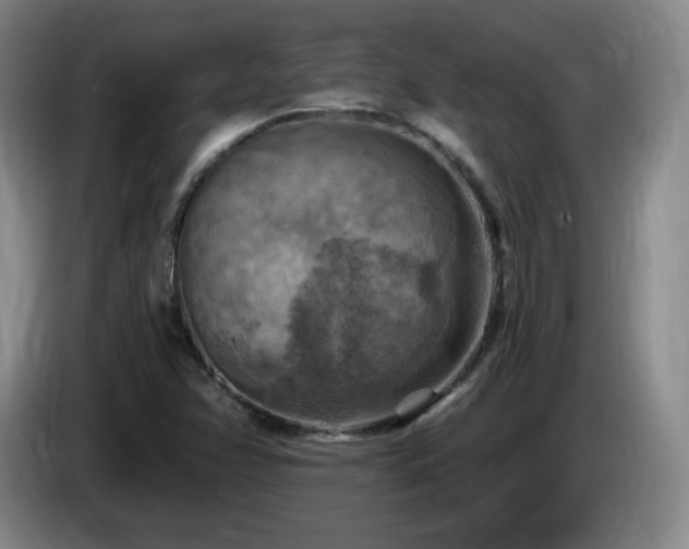 X0000085301358200703091423