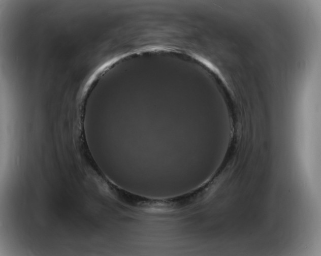 X0000085301359200703091423