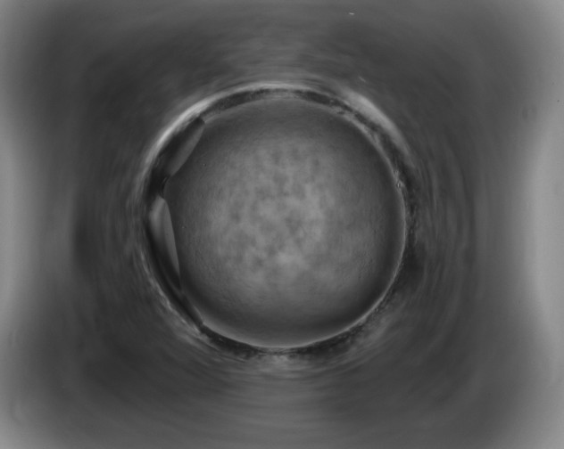 X0000085301360200703091423