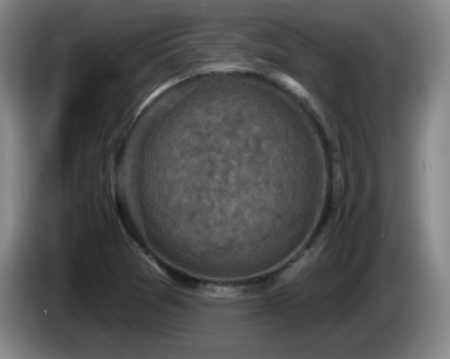 X0000085301361200703091423