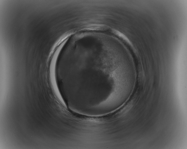 X0000085301362200703091423