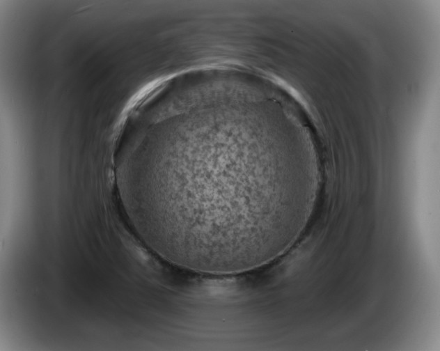 X0000085301363200703091422