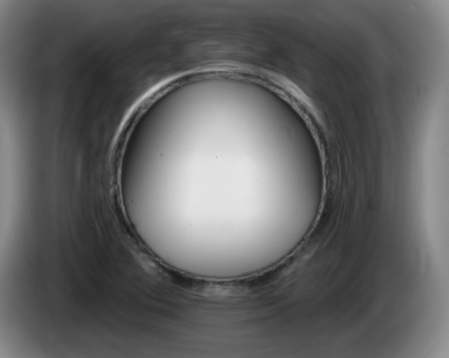 X0000085301364200703091422