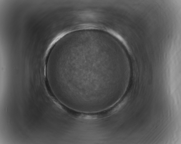 X0000085301365200703091422