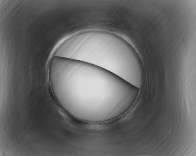 X0000085301366200703091422