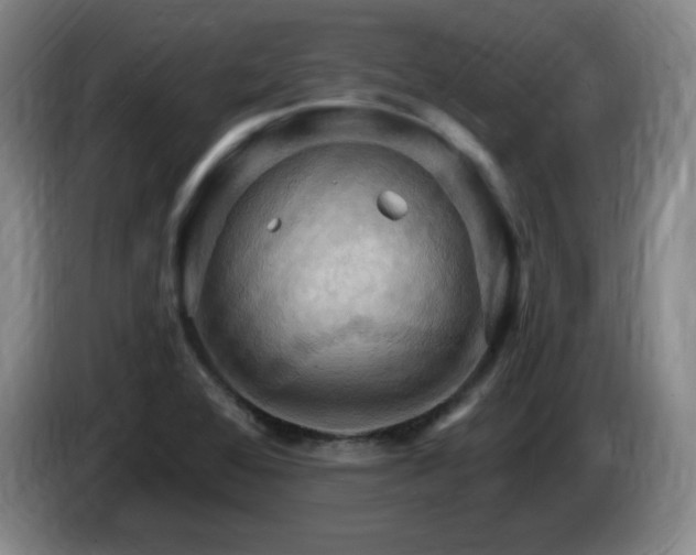 X0000085301368200703091422