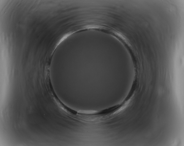 X0000085301369200703091422