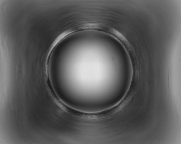 X0000085301370200703091422