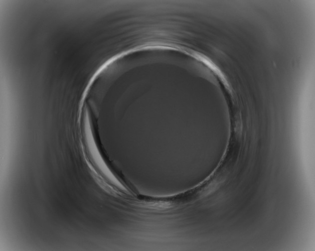 X0000085301372200703091422