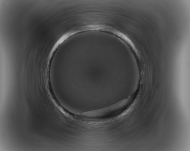 X0000085301373200703091422